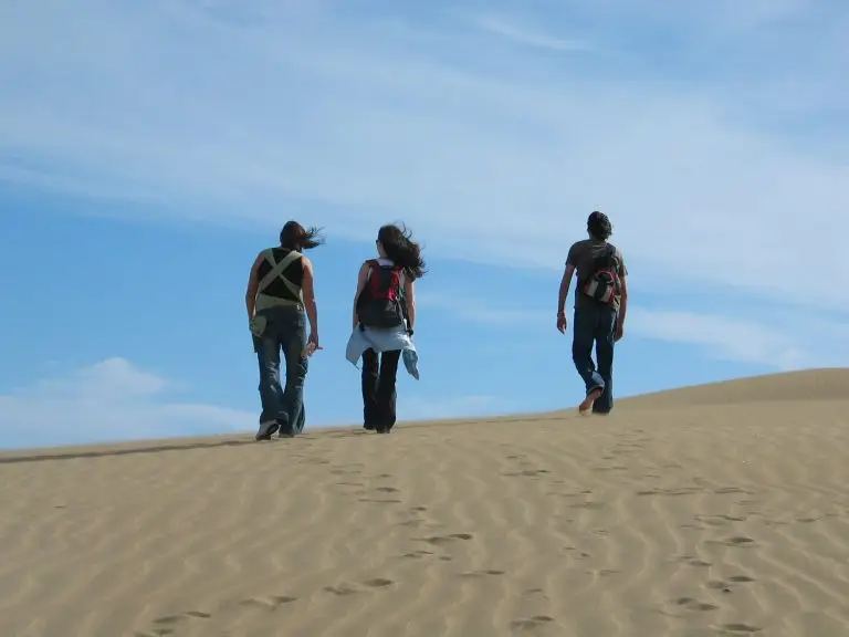 Let’s talk about … what’s next Let’s talk about … what’s next