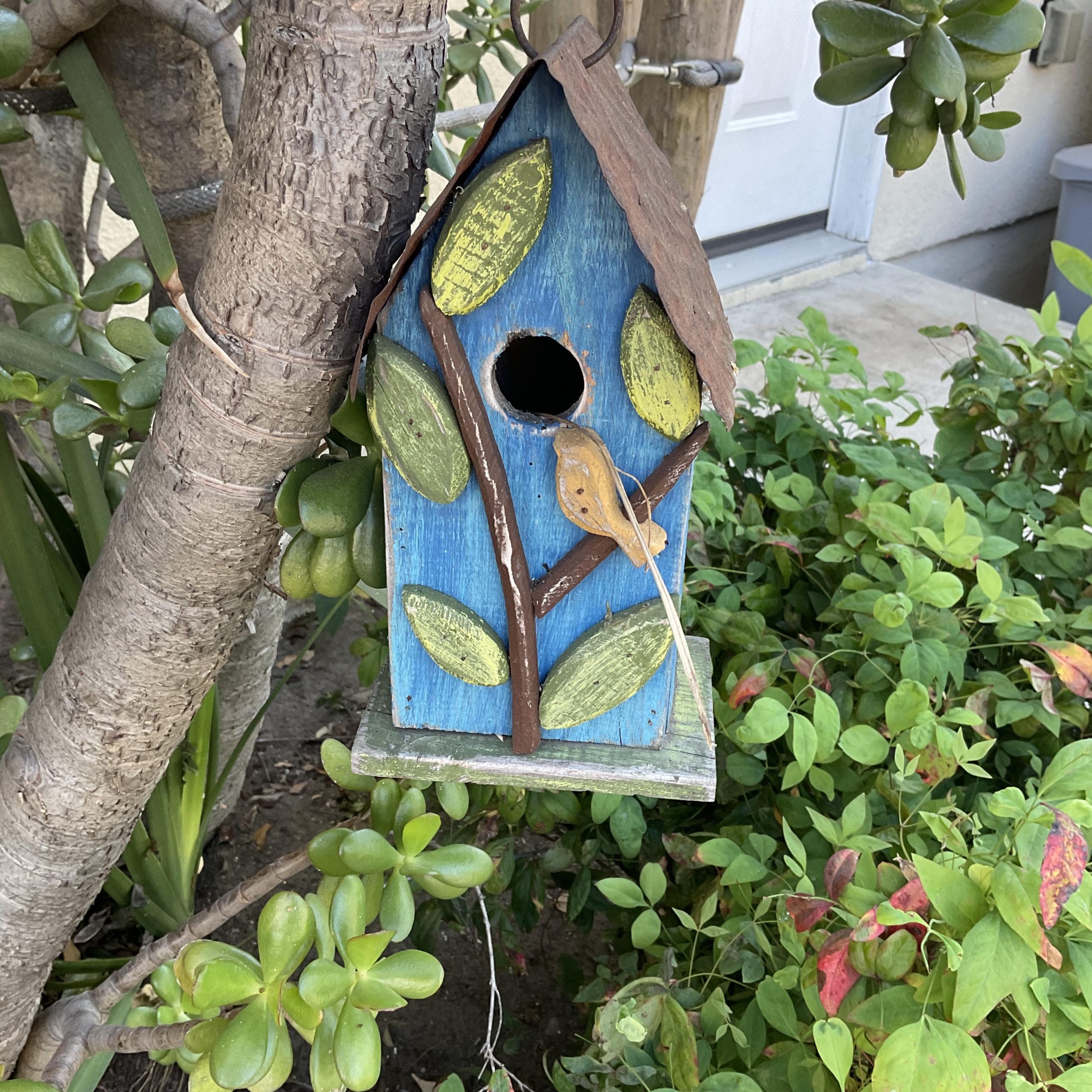 Let’s talk about … changing the path of your life Let’s talk about … changing the path of your life