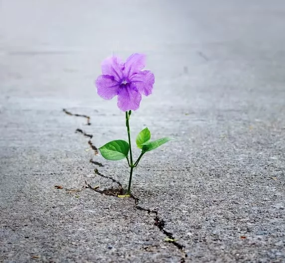 Stay Safe Be Kind text carved on stone in green park during coronavirus pandemic